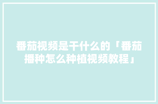 番茄视频是干什么的「番茄播种怎么种植视频教程」 番茄视频是干什么的「番茄播种怎么种植视频教程」 植物种类
