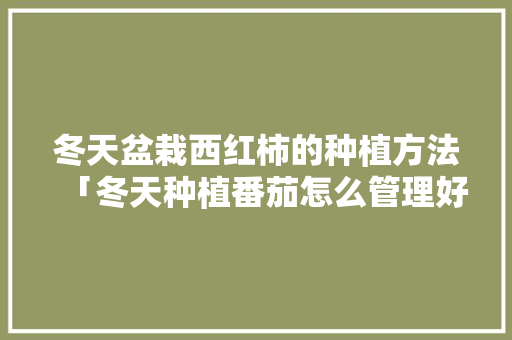冬天盆栽西红柿的种植方法「冬天种植番茄怎么管理好」 番茄种植技巧 冬天盆栽西红柿的种植方法「冬天种植番茄怎么管理好」 冬天盆栽西红柿的种植方法「冬天种植番茄怎么管理好」 番茄种植技巧
