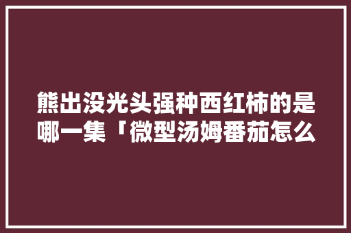 熊出没光头强种西红柿的是哪一集「微型汤姆番茄怎么种植视频」 熊出没光头强种西红柿的是哪一集「微型汤姆番茄怎么种植视频」 花朵知识