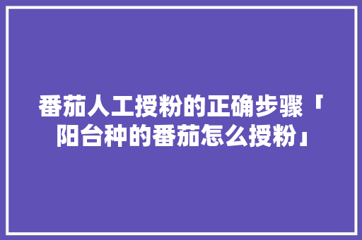 番茄人工授粉的正确步骤「阳台种的番茄怎么授粉」 番茄人工授粉的正确步骤「阳台种的番茄怎么授粉」 番茄种植技巧