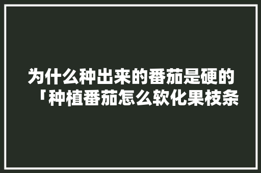 为什么种出来的番茄是硬的「种植番茄怎么软化果枝条视频」 为什么种出来的番茄是硬的「种植番茄怎么软化果枝条视频」 植物种类