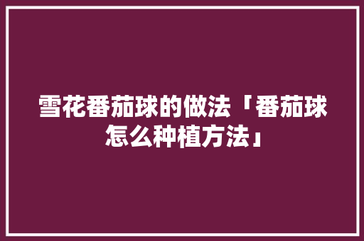 雪花番茄球的做法「番茄球怎么种植方法」 雪花番茄球的做法「番茄球怎么种植方法」 农业常识
