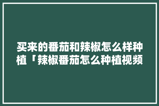 买来的番茄和辣椒怎么样种植「辣椒番茄怎么种植视频」 买来的番茄和辣椒怎么样种植「辣椒番茄怎么种植视频」 种植技巧