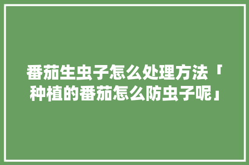 番茄生虫子怎么处理方法「种植的番茄怎么防虫子呢」 番茄生虫子怎么处理方法「种植的番茄怎么防虫子呢」 番茄种植技巧