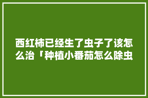 西红柿已经生了虫子了该怎么治「种植小番茄怎么除虫害呢」 西红柿已经生了虫子了该怎么治「种植小番茄怎么除虫害呢」 植物种类