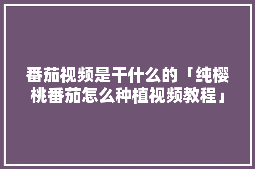 番茄视频是干什么的「纯樱桃番茄怎么种植视频教程」