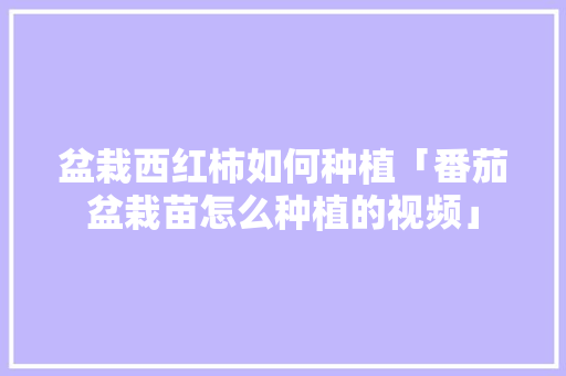 盆栽西红柿如何种植「番茄盆栽苗怎么种植的视频」 盆栽西红柿如何种植「番茄盆栽苗怎么种植的视频」 番茄病虫害防治