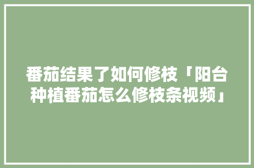 番茄结果了如何修枝「阳台种植番茄怎么修枝条视频」 番茄结果了如何修枝「阳台种植番茄怎么修枝条视频」 农业常识