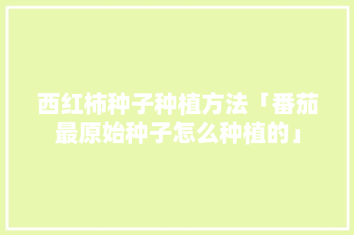 西红柿种子种植方法「番茄最原始种子怎么种植的」 西红柿种子种植方法「番茄最原始种子怎么种植的」 番茄种植技巧