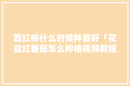 西红柿什么时候种最好「花盆红番茄怎么种植视频教程」 西红柿什么时候种最好「花盆红番茄怎么种植视频教程」 土壤施肥