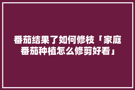 番茄结果了如何修枝「家庭番茄种植怎么修剪好看」 番茄结果了如何修枝「家庭番茄种植怎么修剪好看」 番茄病虫害防治