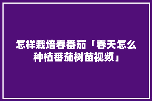 怎样栽培春番茄「春天怎么种植番茄树苗视频」 土壤施肥 怎样栽培春番茄「春天怎么种植番茄树苗视频」 怎样栽培春番茄「春天怎么种植番茄树苗视频」 土壤施肥