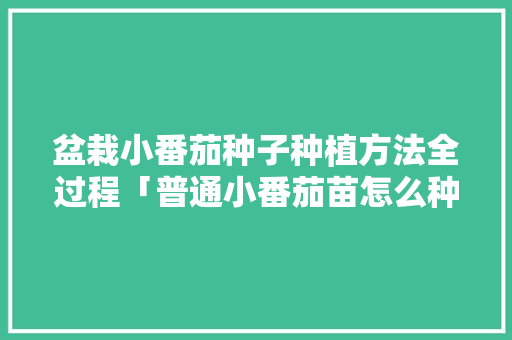 盆栽小番茄种子种植方法全过程「普通小番茄苗怎么种植的」 盆栽小番茄种子种植方法全过程「普通小番茄苗怎么种植的」 植物种类