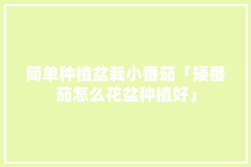 简单种植盆栽小番茄「矮番茄怎么花盆种植好」 简单种植盆栽小番茄「矮番茄怎么花盆种植好」 种植技巧