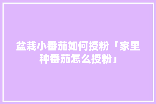 盆栽小番茄如何授粉「家里种番茄怎么授粉」 盆栽小番茄如何授粉「家里种番茄怎么授粉」 植物种类