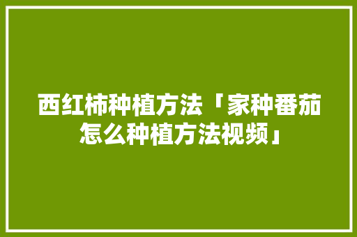 西红柿种植方法「家种番茄怎么种植方法视频」 西红柿种植方法「家种番茄怎么种植方法视频」 花朵知识