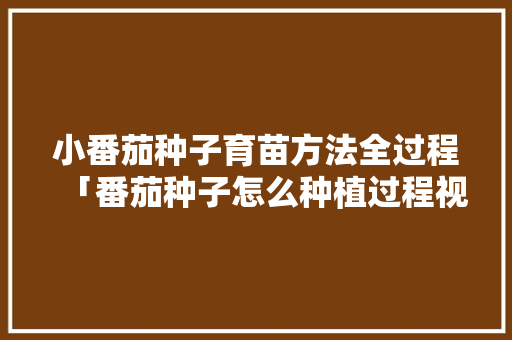 小番茄种子育苗方法全过程「番茄种子怎么种植过程视频」 小番茄种子育苗方法全过程「番茄种子怎么种植过程视频」 农业常识