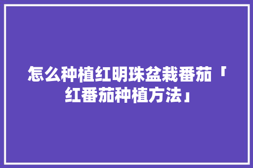 怎么种植红明珠盆栽番茄「红番茄种植方法」 怎么种植红明珠盆栽番茄「红番茄种植方法」 农业常识