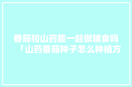 番茄和山药能一起做辅食吗「山药番茄种子怎么种植方法」