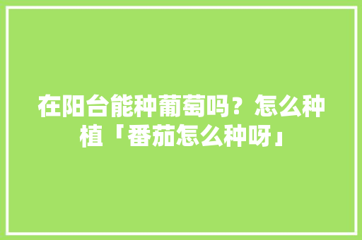 在阳台能种葡萄吗？怎么种植「番茄怎么种呀」 在阳台能种葡萄吗？怎么种植「番茄怎么种呀」 番茄病虫害防治