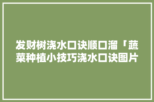 发财树浇水口诀顺口溜「蔬菜种植小技巧浇水口诀图片」