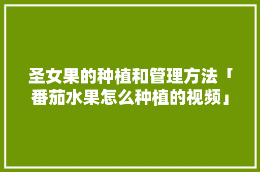 圣女果的种植和管理方法「番茄水果怎么种植的视频」 圣女果的种植和管理方法「番茄水果怎么种植的视频」 农业常识