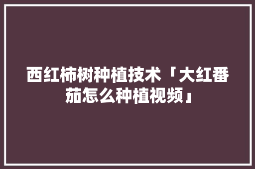 西红柿树种植技术「大红番茄怎么种植视频」 番茄病虫害防治 西红柿树种植技术「大红番茄怎么种植视频」 西红柿树种植技术「大红番茄怎么种植视频」 番茄病虫害防治