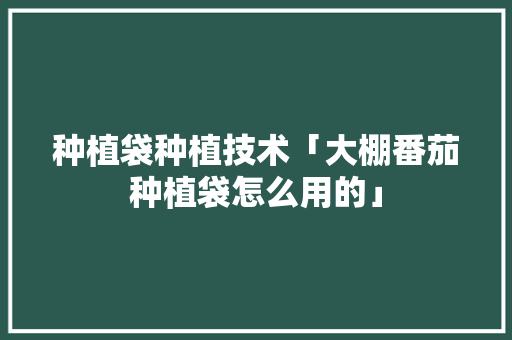 种植袋种植技术「大棚番茄种植袋怎么用的」 植物种类 种植袋种植技术「大棚番茄种植袋怎么用的」 种植袋种植技术「大棚番茄种植袋怎么用的」 植物种类