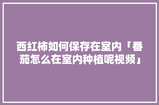 西红柿如何保存在室内「番茄怎么在室内种植呢视频」 西红柿如何保存在室内「番茄怎么在室内种植呢视频」 植物种类