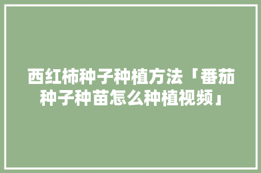 西红柿种子种植方法「番茄种子种苗怎么种植视频」 西红柿种子种植方法「番茄种子种苗怎么种植视频」 番茄种植技巧