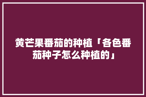 黄芒果番茄的种植「各色番茄种子怎么种植的」 黄芒果番茄的种植「各色番茄种子怎么种植的」 土壤施肥