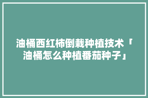 油桶西红柿倒栽种植技术「油桶怎么种植番茄种子」 植物种类 油桶西红柿倒栽种植技术「油桶怎么种植番茄种子」 油桶西红柿倒栽种植技术「油桶怎么种植番茄种子」 植物种类