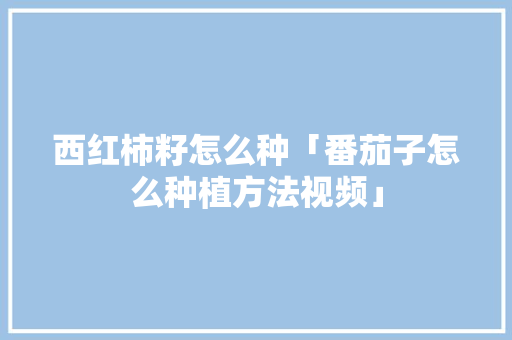 西红柿籽怎么种「番茄子怎么种植方法视频」 西红柿籽怎么种「番茄子怎么种植方法视频」 植物种类
