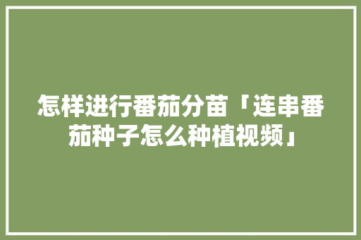 怎样进行番茄分苗「连串番茄种子怎么种植视频」 怎样进行番茄分苗「连串番茄种子怎么种植视频」 番茄种植技巧
