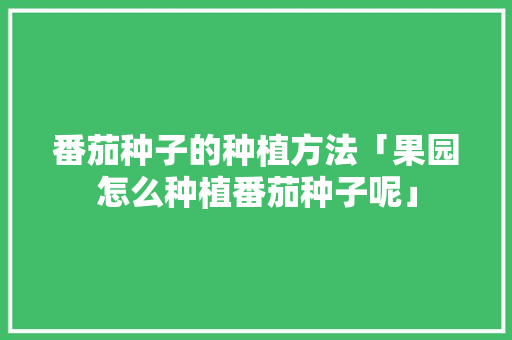 番茄种子的种植方法「果园怎么种植番茄种子呢」 番茄种子的种植方法「果园怎么种植番茄种子呢」 花朵知识