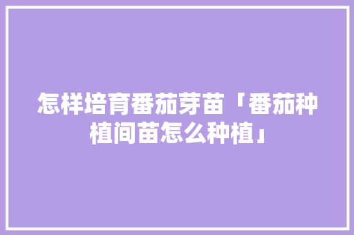 怎样培育番茄芽苗「番茄种植间苗怎么种植」 怎样培育番茄芽苗「番茄种植间苗怎么种植」 农业常识