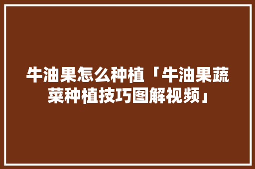 牛油果怎么种植「牛油果蔬菜种植技巧图解视频」
