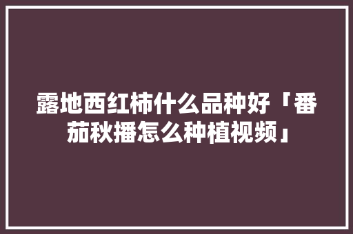露地西红柿什么品种好「番茄秋播怎么种植视频」 露地西红柿什么品种好「番茄秋播怎么种植视频」 番茄病虫害防治