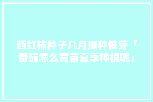 西红柿种子几月播种催芽「番茄怎么育苗夏季种植呢」 西红柿种子几月播种催芽「番茄怎么育苗夏季种植呢」 种植技巧