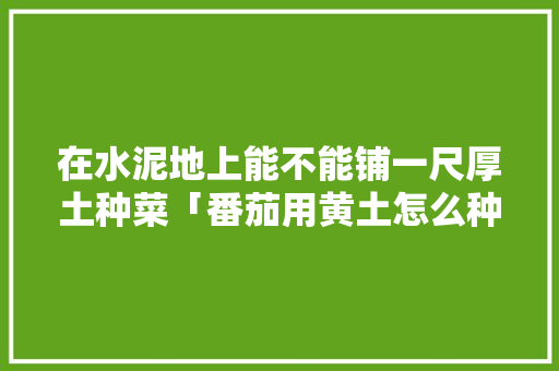 在水泥地上能不能铺一尺厚土种菜「番茄用黄土怎么种植视频」 在水泥地上能不能铺一尺厚土种菜「番茄用黄土怎么种植视频」 土壤施肥
