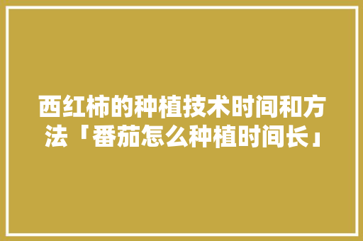 西红柿的种植技术时间和方法「番茄怎么种植时间长」 西红柿的种植技术时间和方法「番茄怎么种植时间长」 花朵知识