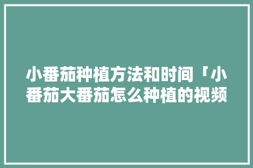 小番茄种植方法和时间「小番茄大番茄怎么种植的视频」 花朵知识 小番茄种植方法和时间「小番茄大番茄怎么种植的视频」 小番茄种植方法和时间「小番茄大番茄怎么种植的视频」 花朵知识