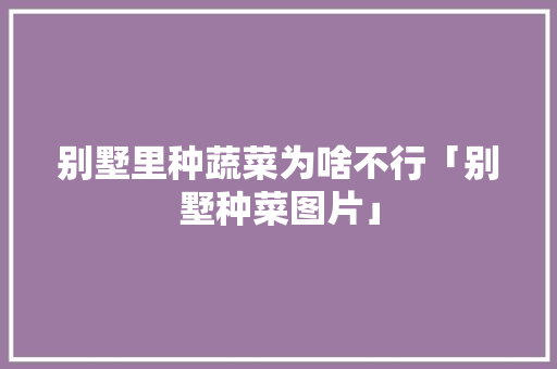 别墅里种蔬菜为啥不行「别墅种菜图片」