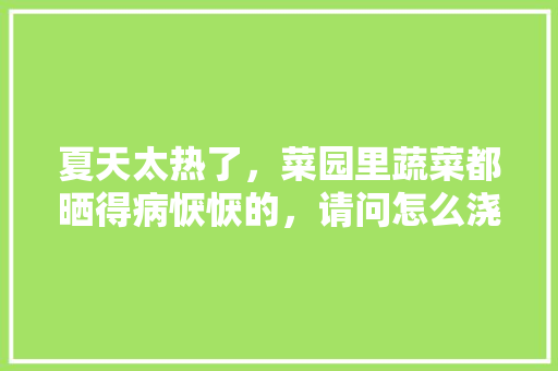 夏天太热了,菜园里蔬菜都晒得病恹恹的,请问怎么浇水才好「蔬菜种植技巧夏天浇水时间」 土壤施肥 夏天太热了,菜园里蔬菜都晒得病恹恹的,请问怎么浇水才好「蔬菜种植技巧夏天浇水时间」 夏天太热了,菜园里蔬菜都晒得病恹恹的,请问怎么浇水才好「蔬菜种植技巧夏天浇水时间」 土壤施肥