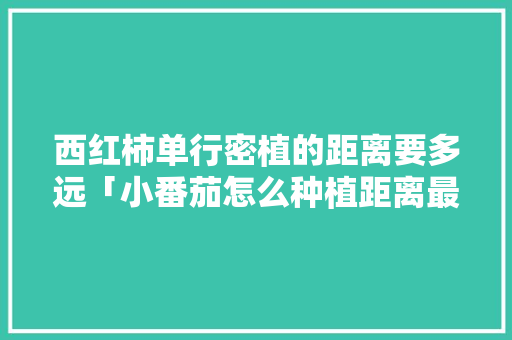 西红柿单行密植的距离要多远「小番茄怎么种植距离最短呢」 土壤施肥 西红柿单行密植的距离要多远「小番茄怎么种植距离最短呢」 西红柿单行密植的距离要多远「小番茄怎么种植距离最短呢」 土壤施肥