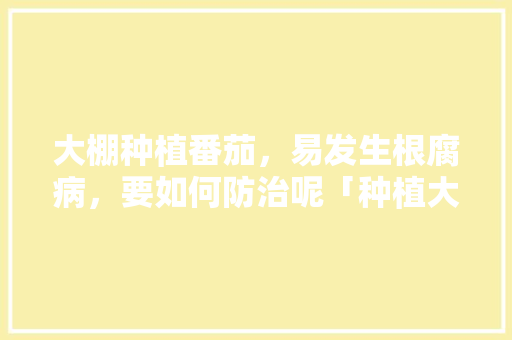 大棚种植番茄，易发生根腐病，要如何防治呢「种植大棚番茄怎么用药水浇」