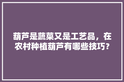 葫芦是蔬菜又是工艺品，在农村种植葫芦有哪些技巧？哪些注意事项「蔬菜种植方法」 葫芦是蔬菜又是工艺品，在农村种植葫芦有哪些技巧？哪些注意事项「蔬菜种植方法」 番茄病虫害防治