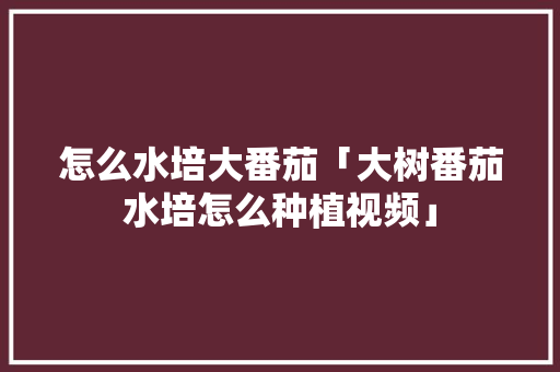 怎么水培大番茄「大树番茄水培怎么种植视频」 番茄病虫害防治 怎么水培大番茄「大树番茄水培怎么种植视频」 怎么水培大番茄「大树番茄水培怎么种植视频」 番茄病虫害防治