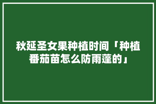 秋延圣女果种植时间「种植番茄苗怎么防雨蓬的」 秋延圣女果种植时间「种植番茄苗怎么防雨蓬的」 番茄种植技巧