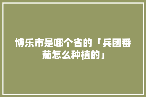 博乐市是哪个省的「兵团番茄怎么种植的」